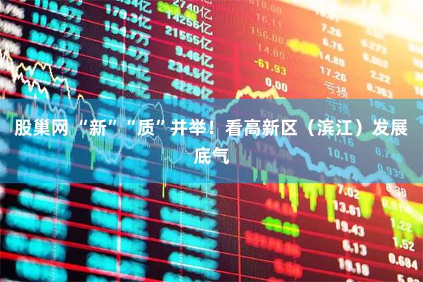 股巢网 “新”“质”并举！看高新区（滨江）发展底气