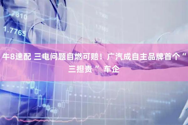 牛8速配 三电问题自燃可赔！广汽成自主品牌首个“三担责 ” 车企